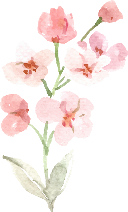 Watercolor Flowers illustration