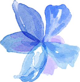 Watercolor Decorative Flower Illustration